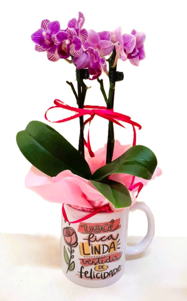 REF 191 ORQUIDEA BABY COM CANECA VOCÊ FICA LINDA CESTIDA DE FELICIDADE