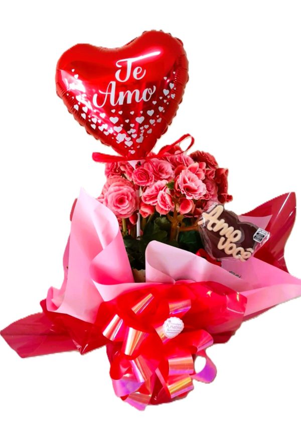 REF 156 VASO DE BEGÔNIA  + BALÃO TE AMO+ CHOCOLATE AMO VOCÊ
